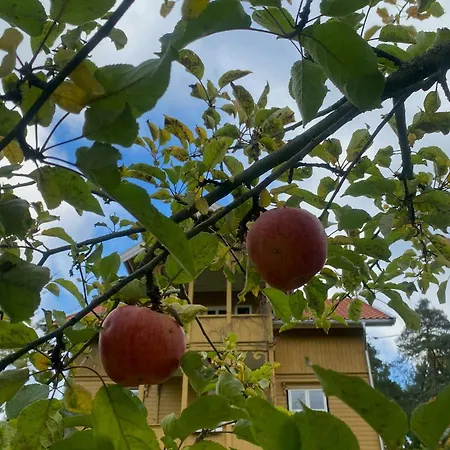 Historical At Flaskebekk