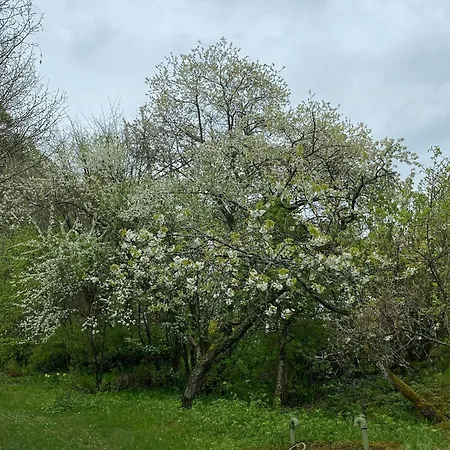 Historical At Flaskebekk *