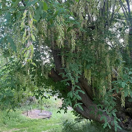 Casa vacanze Historical At Flaskebekk *