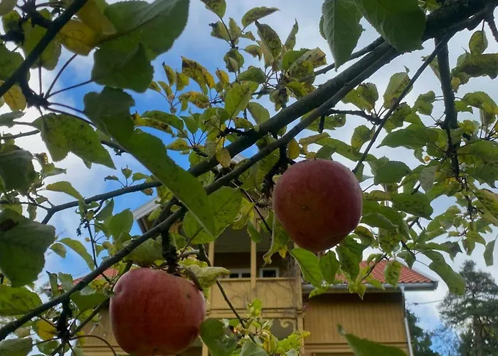 Historical At Flaskebekk